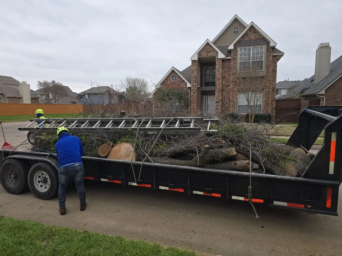 Expert Lot Clearing with proper safety equipment in Burton